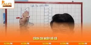 Cách coi ngày đá gà